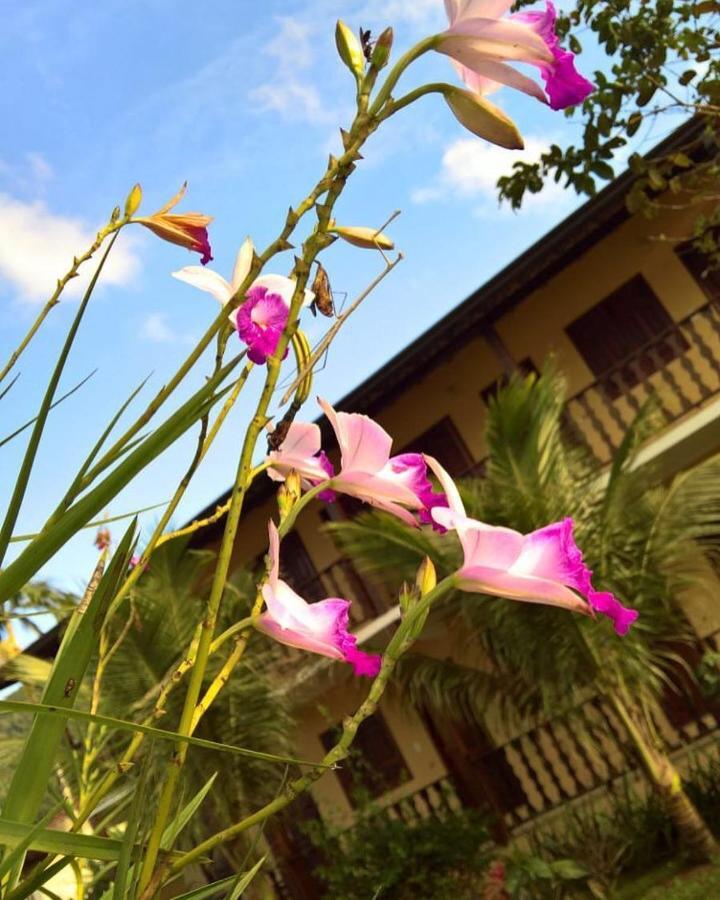 Hotel Pouso Bom Retiro à Parati Extérieur photo